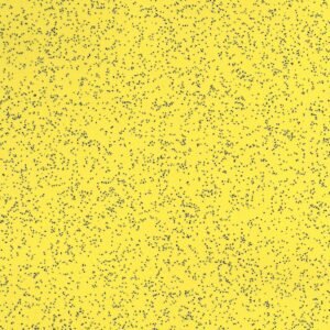 viny bus flooring