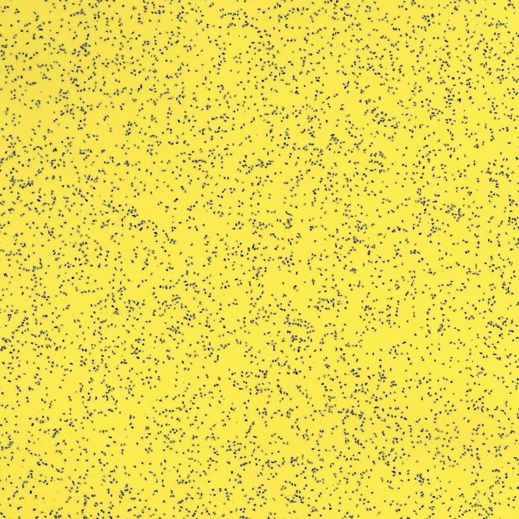 safety pvc flooring